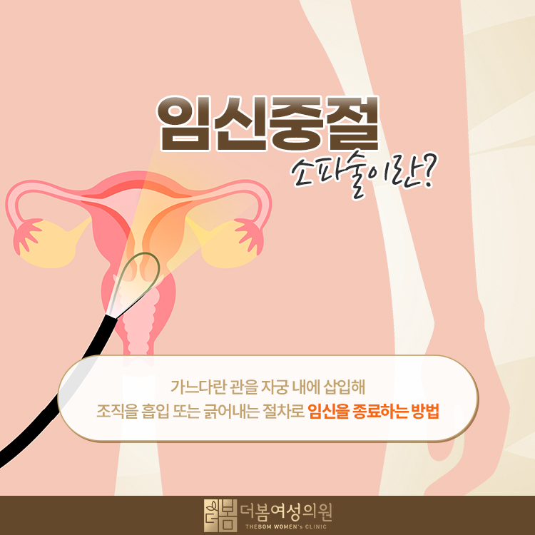 임신중절수술, 왜 임신 주수에 따라 방법이 달라지나요? 관련 해부 구조 그림