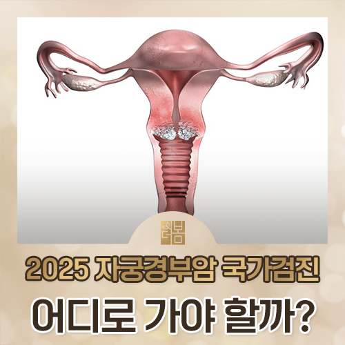 자궁경부암 검사는 언제 받고, 결과는 어떻게 읽어야 하나요?